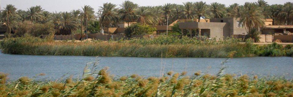 Al-Zahaa Association for Environmental Development
Together for More Beautiful Iraqi Environment